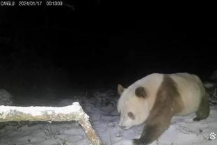 平地起惊雷？德罗巴原地摆腿，抽出一脚电梯球破门